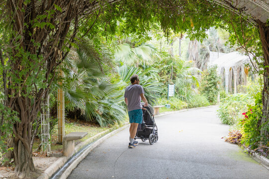Father Pushing Stroller in Parc Phoenix Botanical Garden Nice