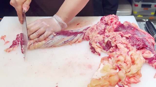 Chef Hands in Gloves Thinly Slicing Premium Beef on White Professional Surface &ndash; Preparing Thin Translucent Meat Layers for Gourmet Dish