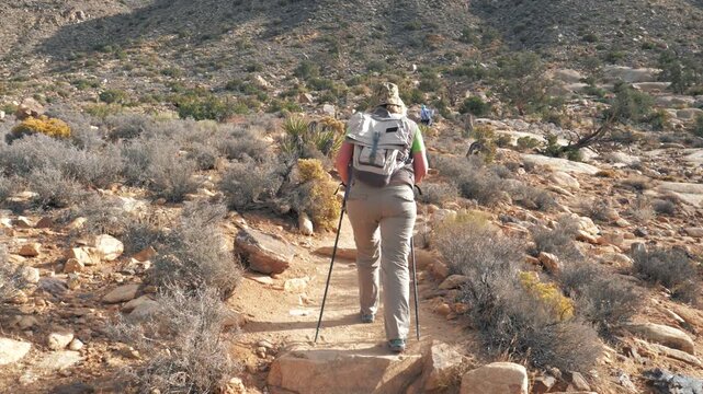 Female hiker carrying backpack and using trekking poles while walking up along dusty stone trail in arid desert landscape on sunny day, pursuing fitness adventure