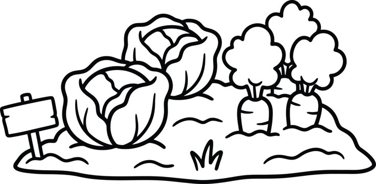 Cabbage and Carrot Garden Illustration: A charming, simple line drawing depicts a small garden plot with two large cabbages and several carrots growing. A wooden signpost stands nearby.