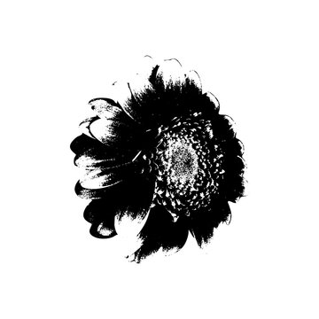 Vintage halftone flower design with photocopy grunge texture, stipple rose and daisy petals, retro botanical collage with gradient dots, gritty black aesthetic illustration.