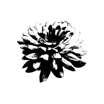Vintage halftone flower design with photocopy grunge texture, stipple rose and daisy petals, retro botanical collage with gradient dots, gritty black aesthetic illustration.