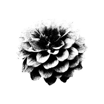 Vintage halftone flower design with photocopy grunge texture, stipple rose and daisy petals, retro botanical collage with gradient dots, gritty black aesthetic illustration.