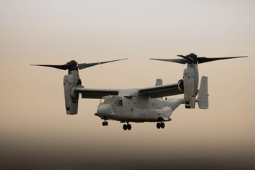 Osprey flight © Kevin