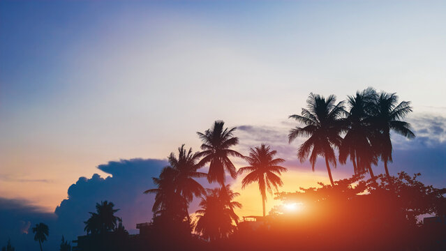 silhouette of palm trees against vibrant orange and purple sunset sky, tropical coastal landscape view with warm sun flare during dusk