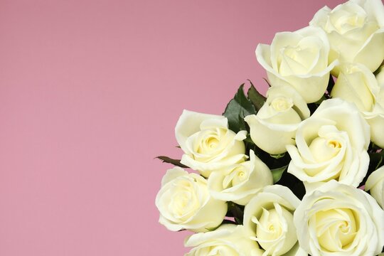 Beautiful white roses on pink background