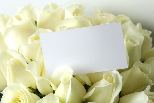 Beautiful white roses with paper card on light background