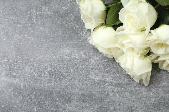 Beautiful white roses on grey background