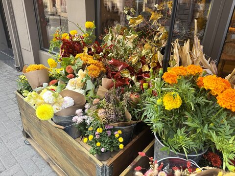An open-air flower shop featuring fresh autumn plants and colorful blooms. Seasonal gardening and floral display