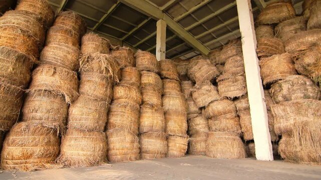 Hay bales stacked storage warehouse. Straw stockpile barn interior, camera pan.