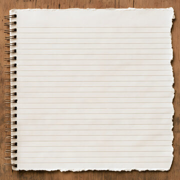 Notebook paper with perforated edges and blank lines