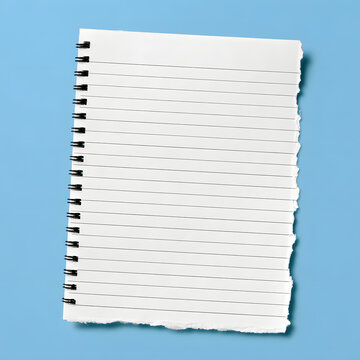 A notebook with a torn spiral edge, lined on one side, blank on the other
