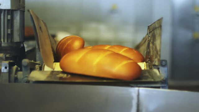 White loaves falling conveyor bakery factory. Close up bread production line.