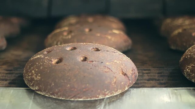 Rye bread loaves moving conveyor belt closeup. Bakery factory production line.
