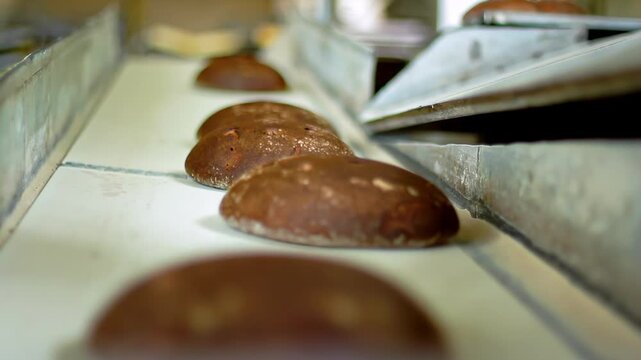 Dark bread production line factory. Loaves sliding metal chute belt close up.