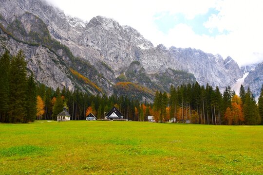 Green meadow with conifer and broadleaf trees at the esge bellow the mountains at Tamar valley in Julian alps, Gorenjska, Slovenia