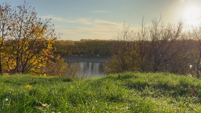 Scenic autumn river landscape with green grass and yellow trees in bright morning sunlight. Seasonal change, morning freshness, relaxation, and outdoor beauty