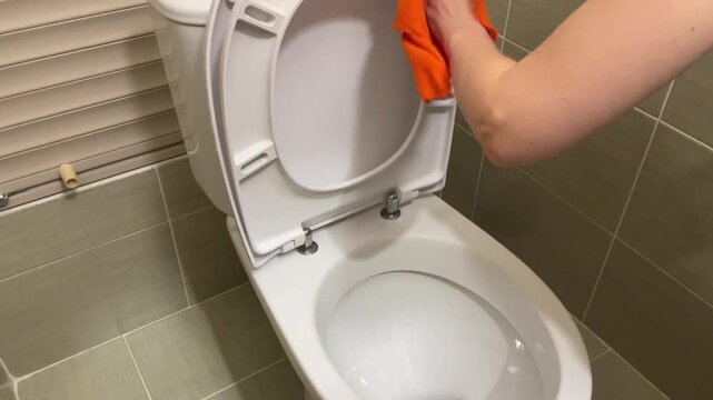 Meticulous circular motions to clean toilet seat underneath and hinges thoroughly, Diligently wiping bathroom toilet seat hinges and underside using circular motions for sanitation purposes
