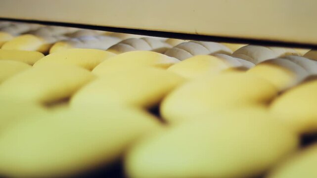 Braided dough loaves moving conveyor belt. Close up raw bread bakery factory.