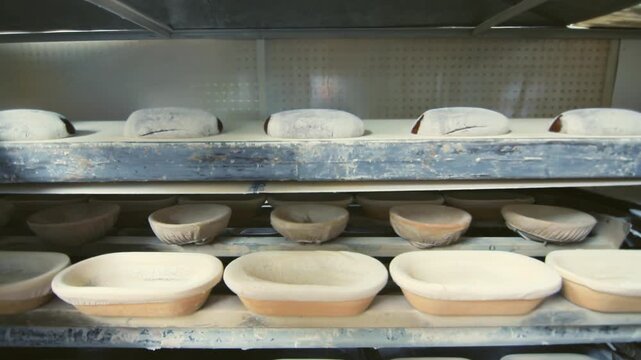 Proofing baskets raw dough bakery rack tilt down. Artisan loaves rising flour.