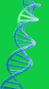 Vertical video: Starting DNA helix transparent rotating dots moving rungs glowing revealing core