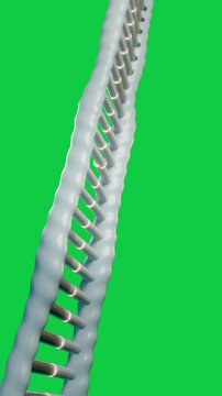 Vertical video: Nodes glowing, cyan modules forming DNA helix, breaking on transparent background