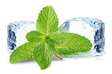 Green mint leaves and ice isolated on white. Menthol © New Africa