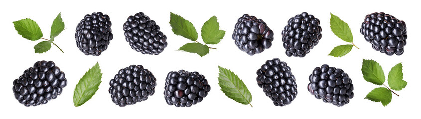 Juicy blackberries and green leaves isolated on white, set © New Africa