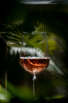 Exquisite pale rose wine in crystal glassware &mdash; summer holiday concept. Refreshing alcoholic drink on dark table with rich green foliage. Calm evening relaxation with luxury pink beverage.