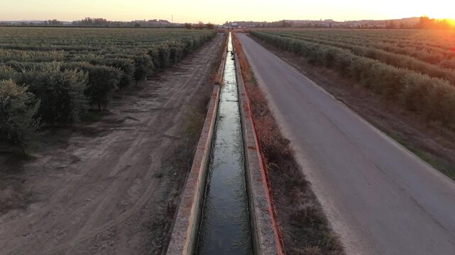 Aerial forward drone video over an irrigation canal alongside a rural road and olive groves at sunset.