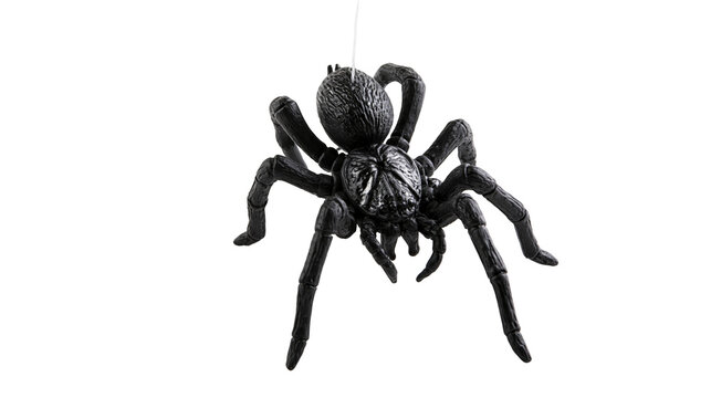 Isolated black artificial tarantula spider hanging on a thread, spooky Halloween decoration concept