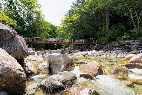 Clear Forest Stream with Boulders and a Pedestrian Bridge