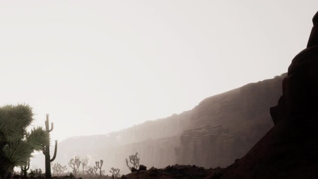 Mist filled desert valleys glow in soft morning light, framing towering rock formations and Joshua trees in a calm, arid wilderness.