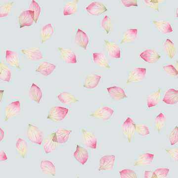 Pink watercolor hydrangea petals seamless pattern on pale blue gray background