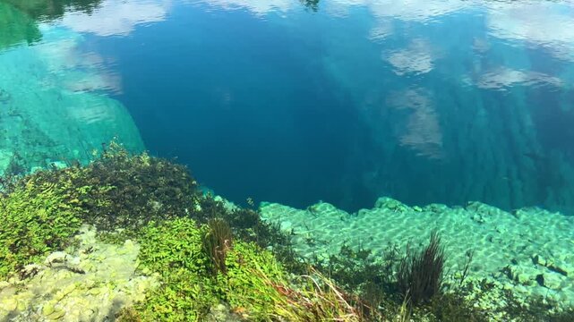 Clear turquoise spring water with aquatic plants