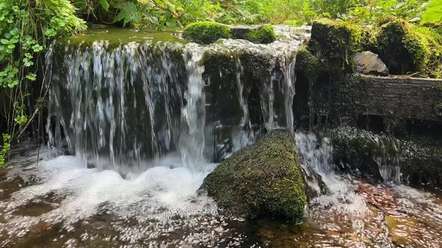 Small Waterfall Over Mossy Rocks in a Forest