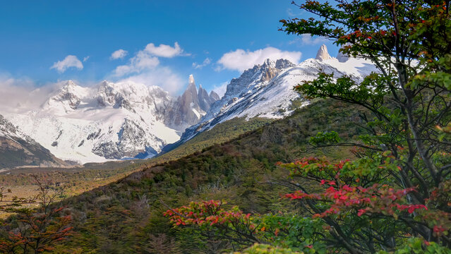 a view of cerro torre and southern beech trees from cerro torre lookout in los glaciares national park of patagonian argentina