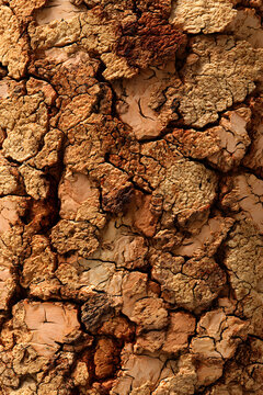 Cork vertical background. Brown yellow color textured cork board background. Natural cork texture. Top view background. High resolution photo. Full depth of field.