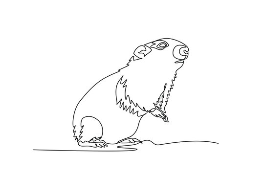 Single one line drawing Arctic lemming standing upright on its hind legs in alert posture, thick fur ruff, small rounded ears, expressive snout. Continuous line draw design graphic vector illustration