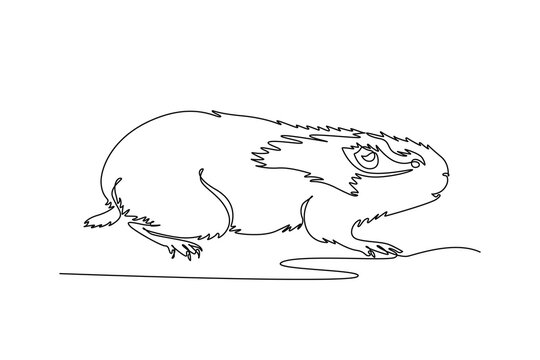 Single one line drawing animal wild Arctic lemming scurrying low, tundra polar biodiversity, small furry rodent mammal crawling on snowy ground. Continuous line draw design graphic vector illustration