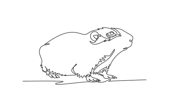 Single one line drawing wild lemming or small Arctic rodent sitting alertly on tundra ground, its stout rounded body, small ears and tiny paws. Continuous line draw design graphic vector illustration