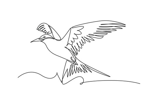 Single one line drawing Arctic tern bird flying gracefully with spread wings above ocean waves. Its sharp pointed beak and streamlined plumage. Continuous line draw design graphic vector illustration