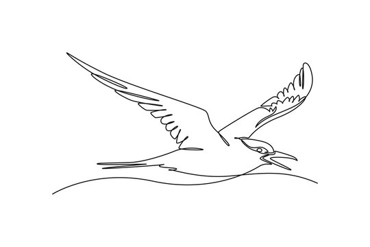 Continuous one line drawing Arctic tern or polar seabird gliding smoothly in mid-air with wide open wings, pointed beak, slender aerodynamic body. Single line draw design vector graphic illustration