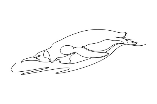 Continuous one line drawing Antarctic penguin sliding gracefully on its belly across the icy ground, highlighting its streamlined hydrodynamic body. Single line draw design vector graphic illustration