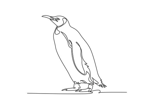 Continuous one line drawing emperor penguin standing upright, highlighting it slender curved beak, folded wing flipper, feathered tail, webbed feet. Single line draw design vector graphic illustration