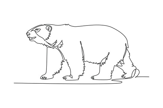 Continuous one line drawing wild polar bear walking across the arctic ice, showcasing its elongated body, thick fur, sturdy legs, and alert posture. Single line draw design vector graphic illustration