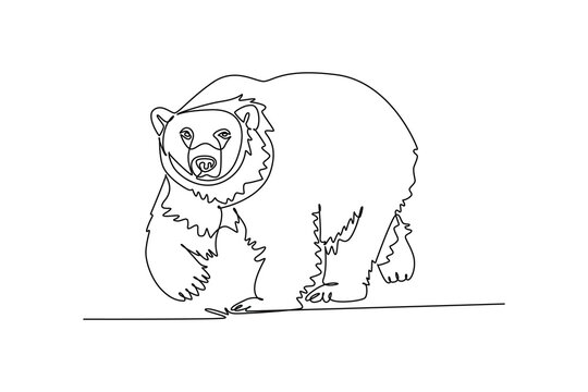Continuous one line drawing wild Arctic polar bear walking forward across frozen snow, massive rounded body, thick fur, watchful gaze, heavy paws. Single line draw design vector graphic illustration