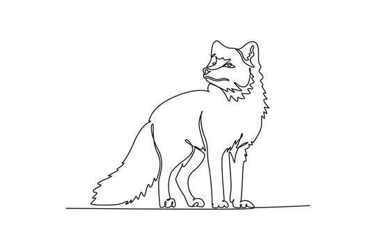 Single continuous line drawing wild Arctic fox standing alert, showcasing bushy tail, thick fluffy winter coat, pointed ear, and sharp facial features. One line draw graphic design vector illustration