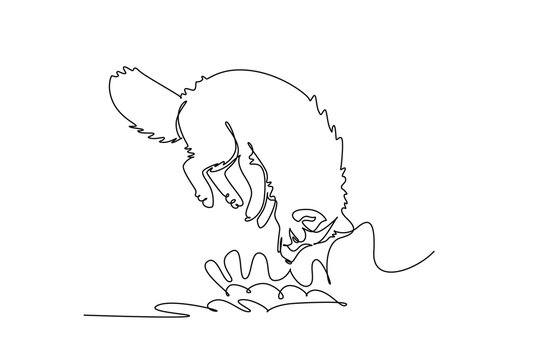 Continuous one line drawing Arctic fox diving headfirst into deep snow during a hunting pounce, arched body, fluffy coat, bushy tail, focused snout. Single line draw design vector graphic illustration