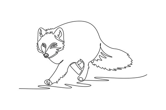 Single continuous line drawing fluffy Arctic fox prowling forward through the snow, its bushy tail, rounded upright ears, and agile stalking movement. One line draw graphic design vector illustration